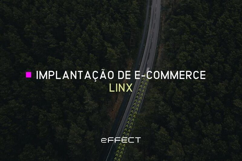 Implantação de E-Commerce Linx