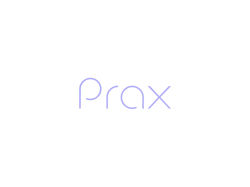 Prax Analytics