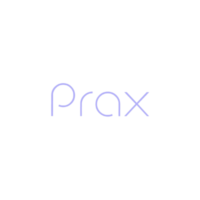 Prax Analytics